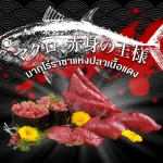 มากุโร่ ราชาแห่งปลาเนื้อแดง เมนูซูชิและซาชิมิพรีเมียม ที่ LITTLE EDO