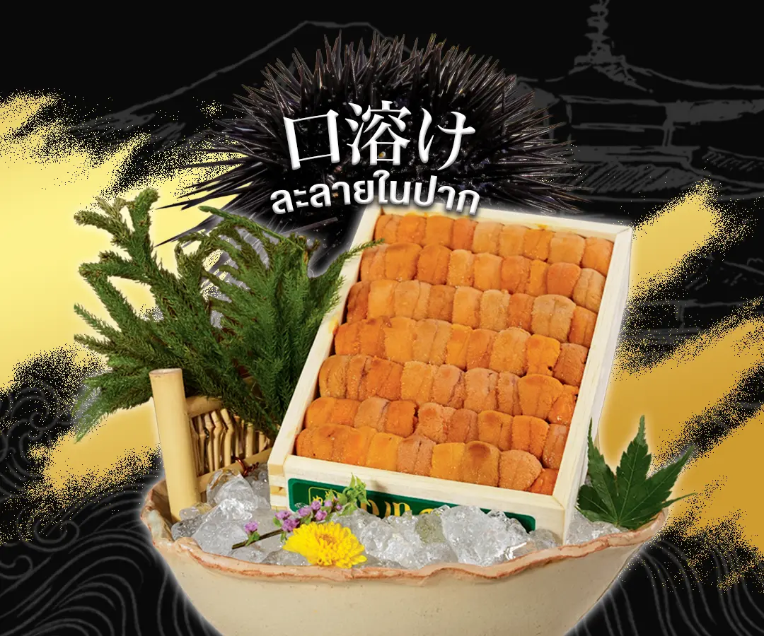 เปิดตำรา “ไข่หอยเม่น” (Uni) 3 สายพันธุ์พรีเมียมส่งตรงจากญี่ปุ่น สัมผัสความละลายในปากที่ LITTLE EDO