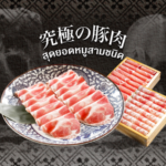 เนื้อหมูพรีเมียม หมูอิเบอริโก หมูคุโรบุตะ ที่สุดแห่งเนื้อหมู สุกียากี้ ชาบู LITTLE EDO