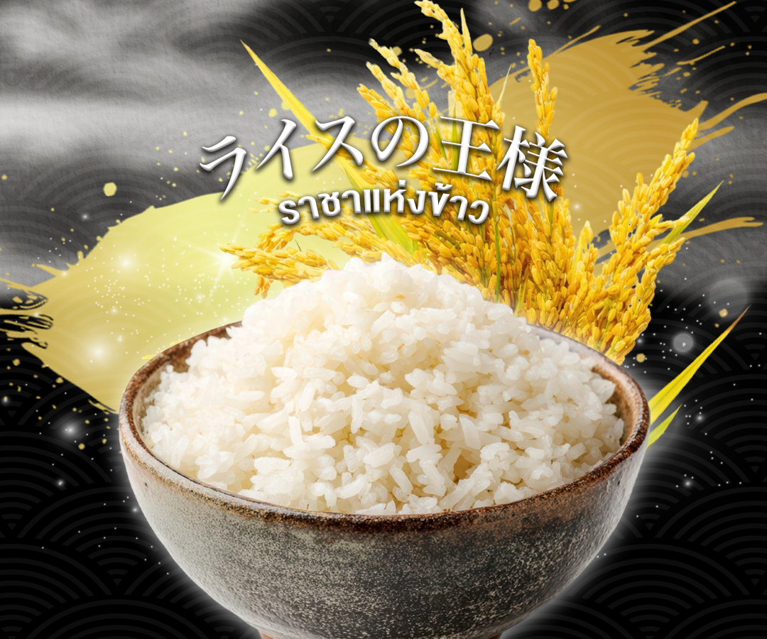 ข้าวญี่ปุ่นโคชิฮิคาริ ราชาแห่งข้าว ลิตเติ้ลเอโดะ LITTLE EDO