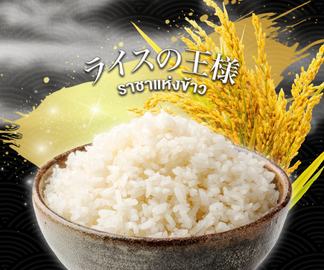 “โคชิฮิคาริ” (コシヒカリ) ราชาแห่งข้าวญี่ปุ่น เคล็ดลับความอร่อยเบื้องหลังมื้อพิเศษที่ลิตเติ้ลเอโดะ