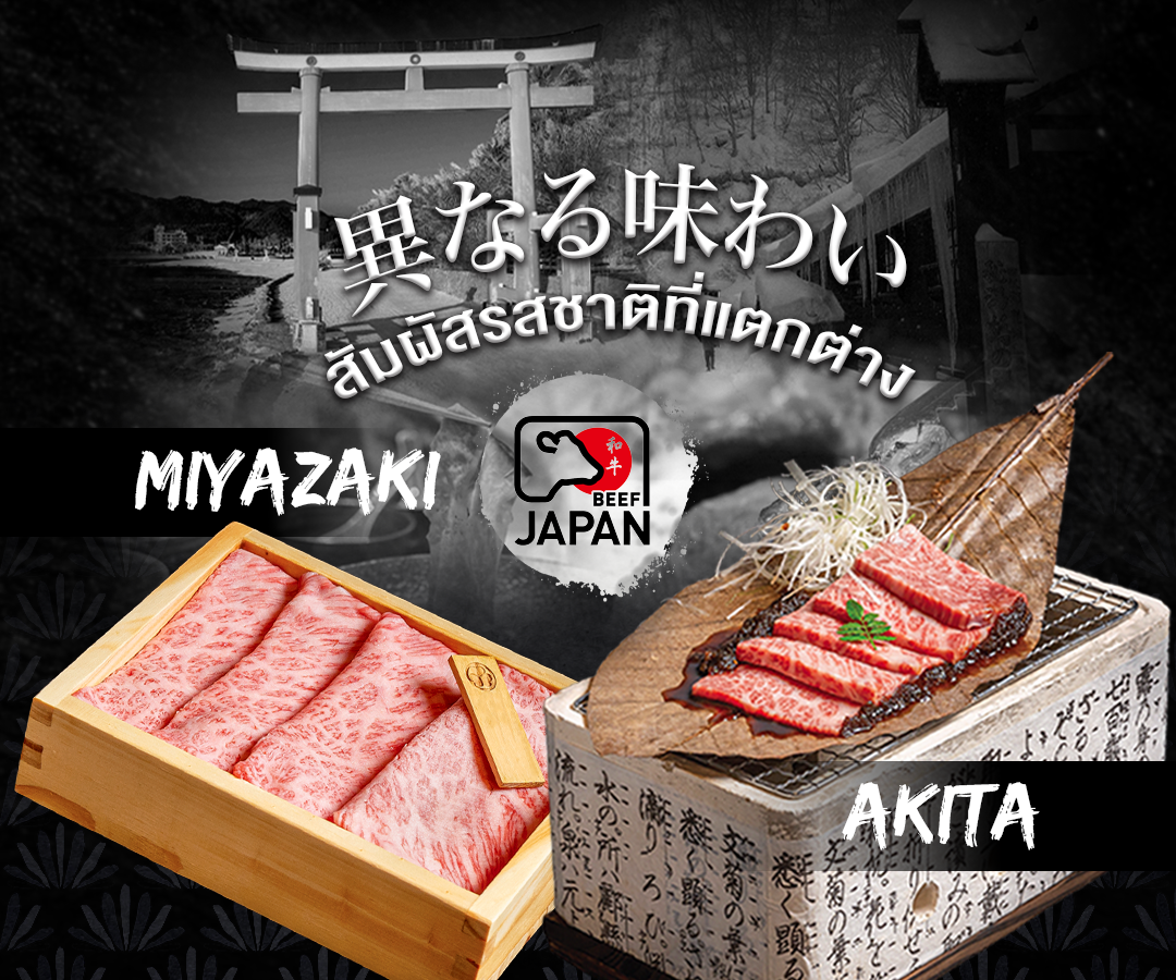 เนื้อวากิวมิยาซากิ และ เนื้อวากิวอาคิตะ ย่างใบโฮบะ ร้านอาหารญี่ปุ่น ลิตเติ้ลเอโดะ LITTLE EDO