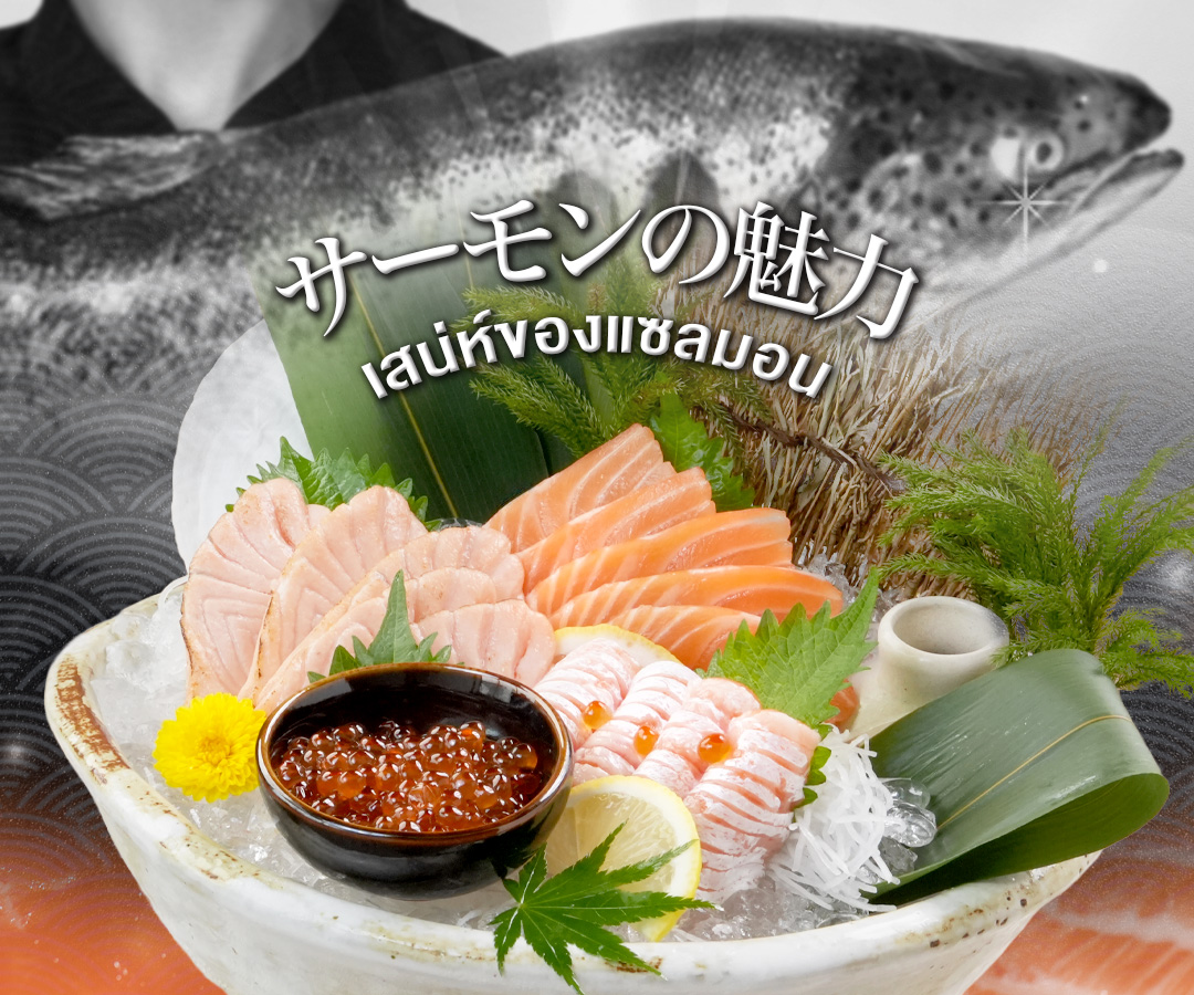 เซ็ตซาชิมิแซลมอนพรีเมียม สดฉ่ำลายไขมันสวยงาม เสน่ห์ของแซลมอน LITTLE EDO