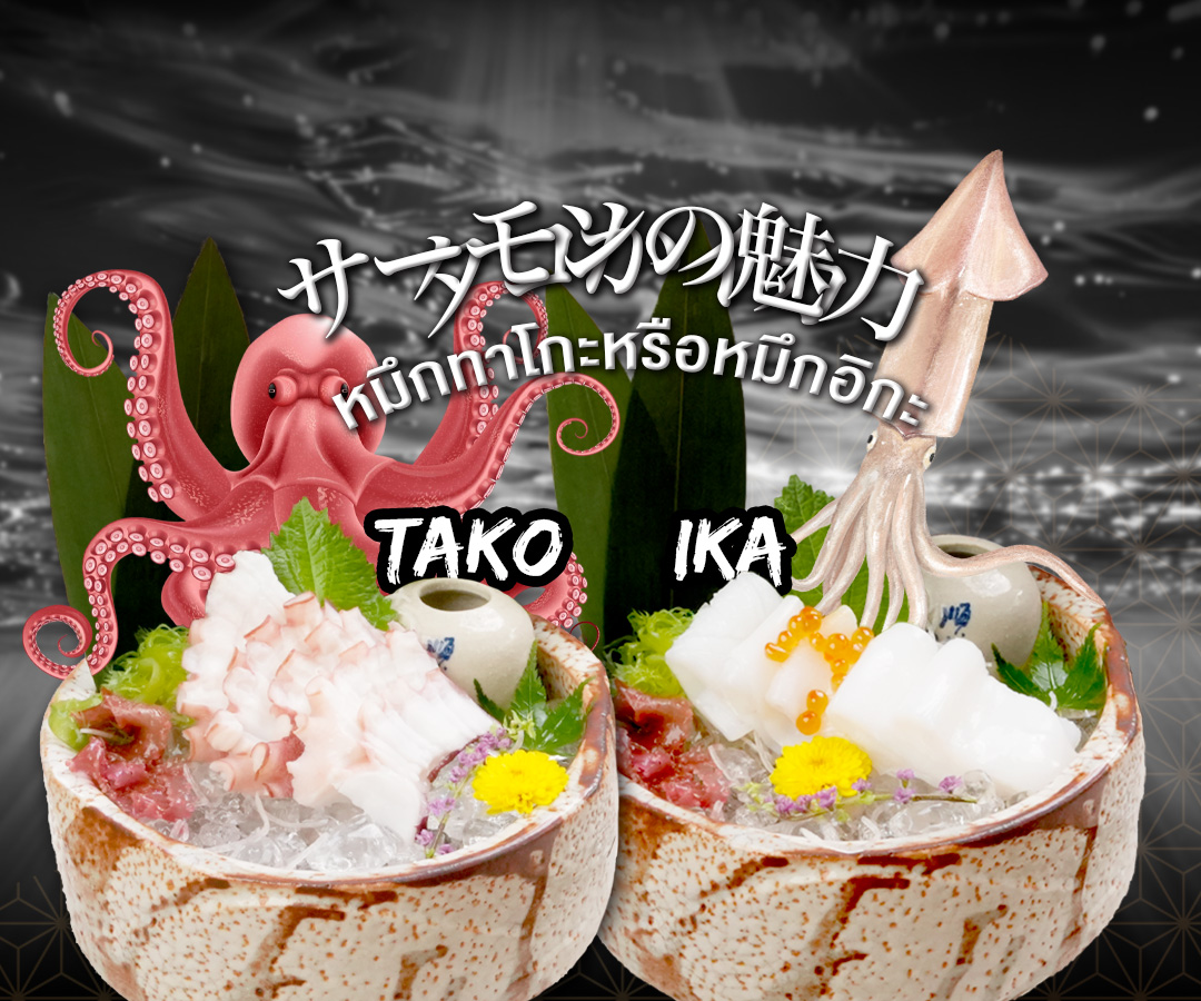 เปรียบเทียบซาชิมิหมึกทาโกะ Tako และหมึกอิกะ Ika ร้านอาหารญี่ปุ่น LITTLE EDO