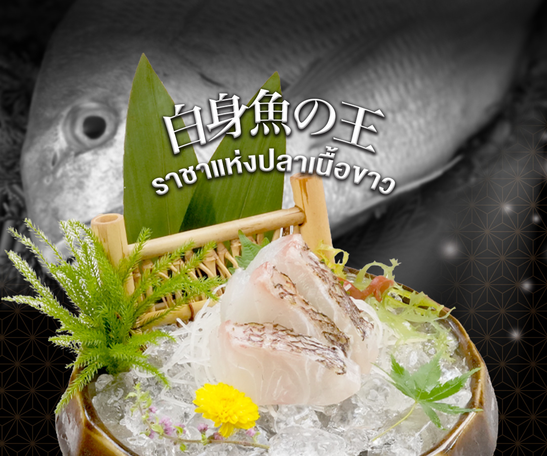 ราชาแห่งปลาเนื้อขาว ซาชิมิสดฉ่ำสไตล์เอโดะ ร้านอาหารญี่ปุ่น LITTLE EDO