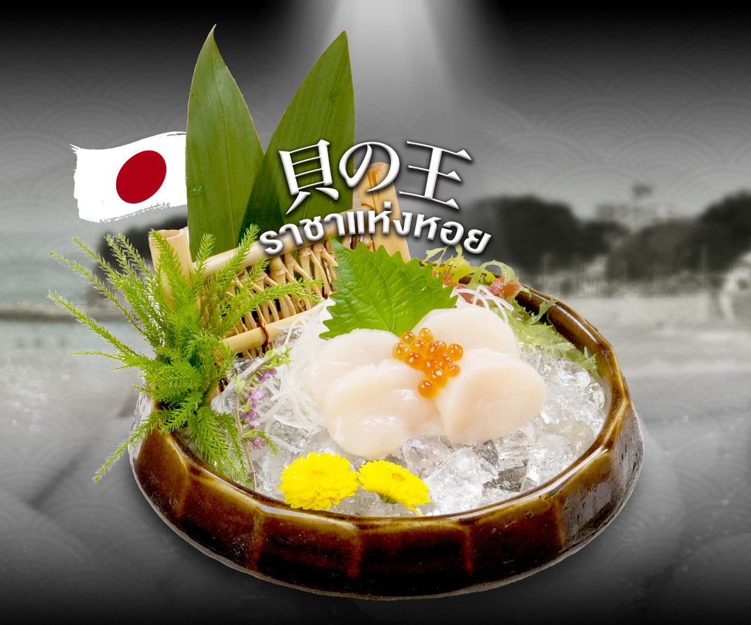 Hotate Sashimi ซาชิมิหอยเชลล์ฮอกไกโด ราชาแห่งหอย ร้านอาหารญี่ปุ่น LITTLE EDO